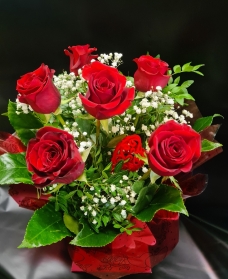 6 luxury red roses and gypsophila