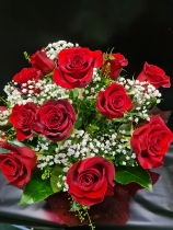 12 luxury Red Roses with gypsophila