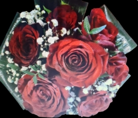 Red Roses and gypsophila