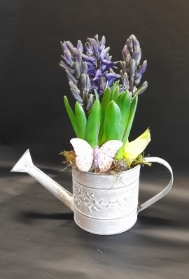 spring watering can