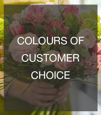Colours of Customer Choice