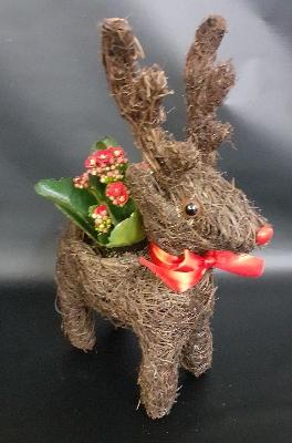 REINDEER PLANTER