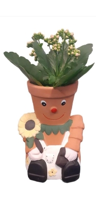 terracotta plant lady