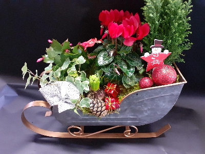 sleigh planter