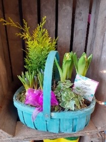 spring trug