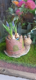 SNAIL PLANTER WITH BULBS