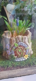 FAIRY HOUSE PLATER AND PLANT
