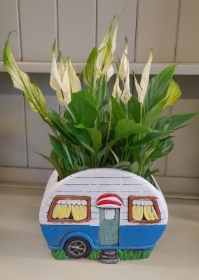 caravan planter