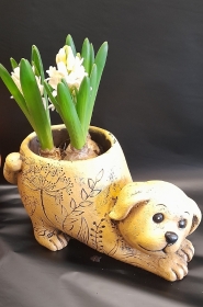 DOG OR CAT PLANTER