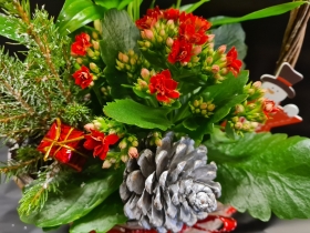 Festive planted basket