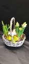 Spring Bulb  basket