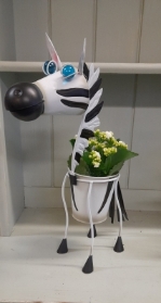 Zebra planter